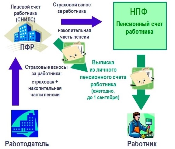 Зачем СНИЛС ребенку