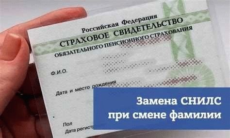 Срок изготовления и стоимость замены СНИЛС