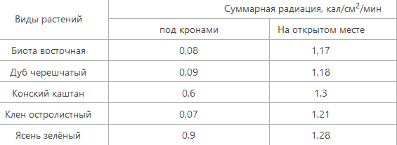 Нормы и сроки благоустройства